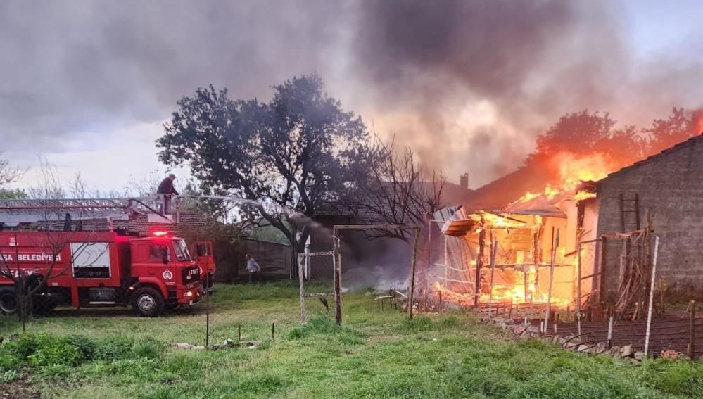 Edirne’de arı kovanları alev alev yandı